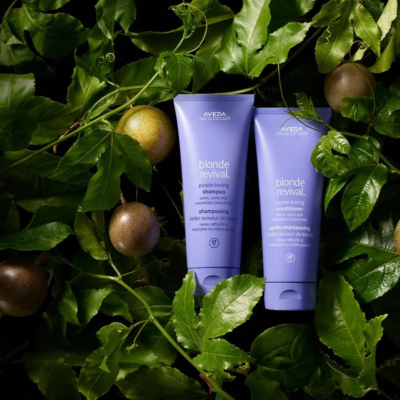 Aveda Blonde Revival Purple Toning Home and Away Bundle
