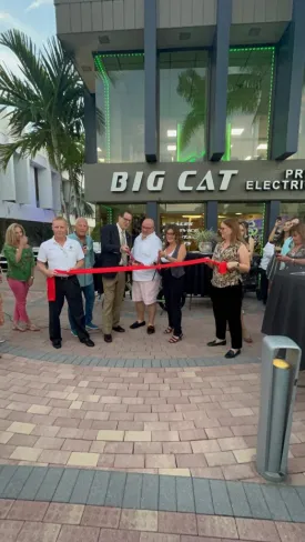 Big Cat Package - With Exclusive Territory (business with a retail showroom)