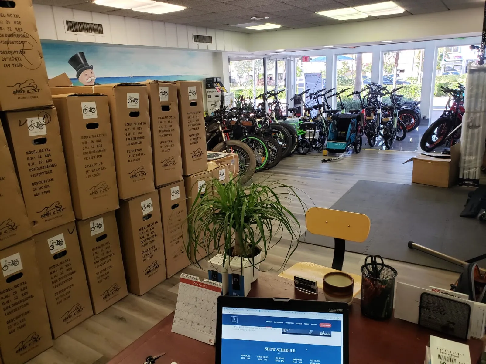 Big Cat Package - With Exclusive Territory (business with a retail showroom)