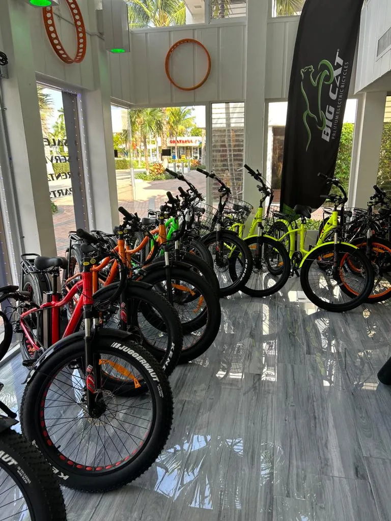 Big Cat Package - With Exclusive Territory (business with a retail showroom)