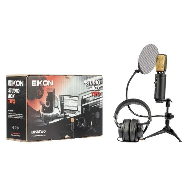 Eikon EKSBTWO Advanced Home Recording Bundle