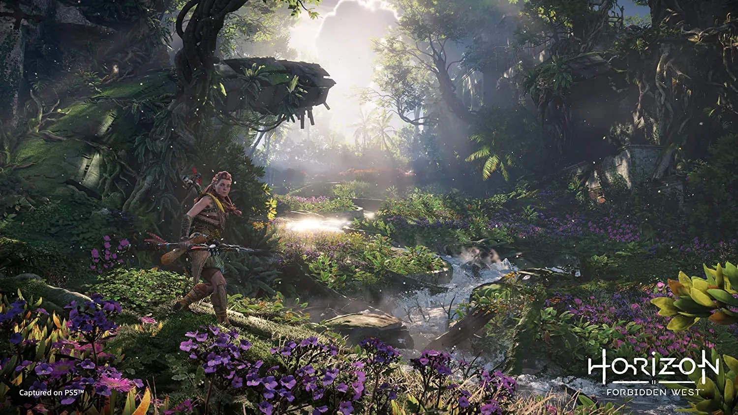 Horizon Forbidden West Standard Edition (PS5)