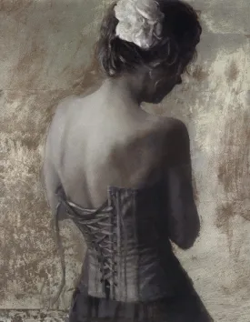 Lace Corset