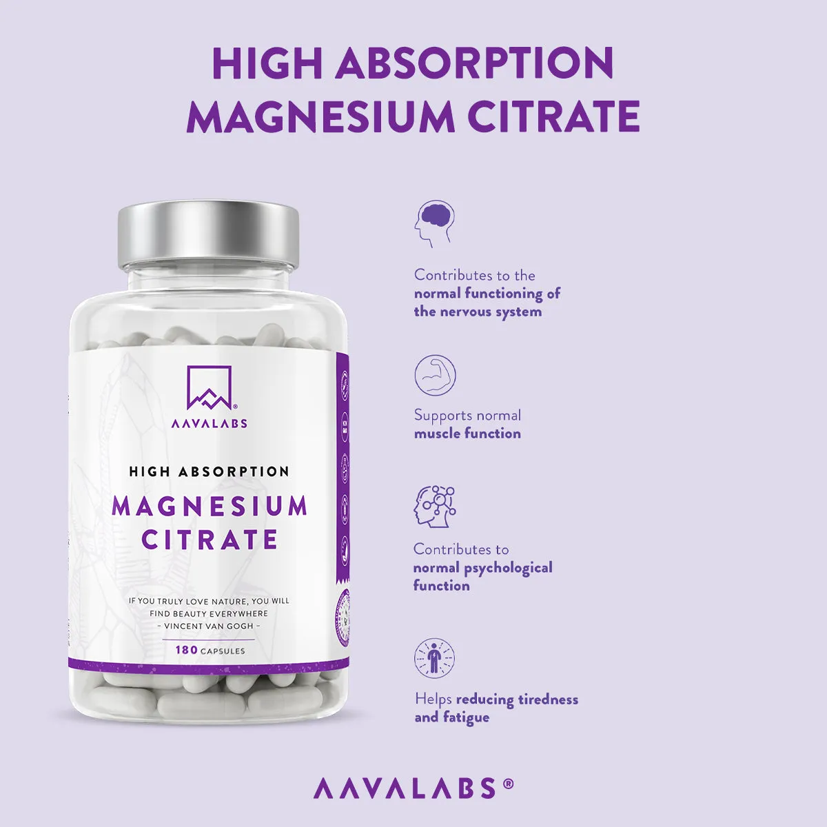 MUSCLE SUPPORT BUNDLE